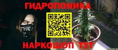 бошки Изобильный