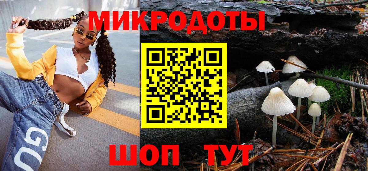 Галлюциногенные грибы Psilocybine cubensis Выборг