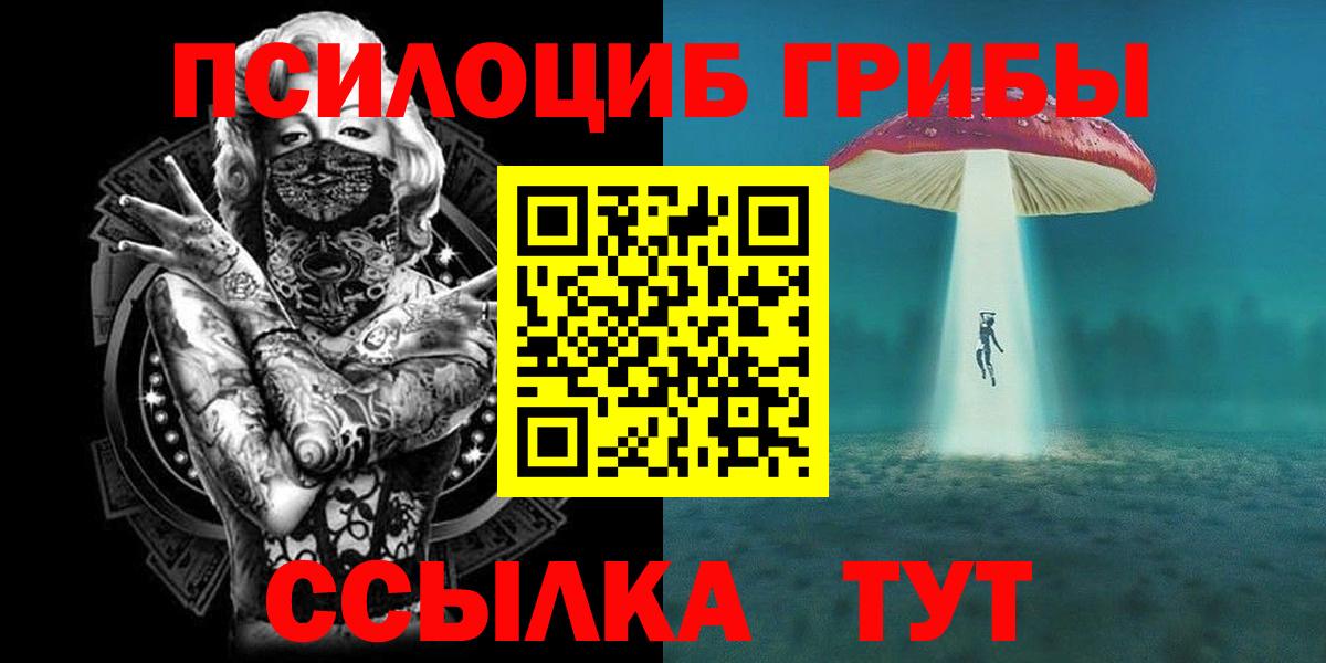 Выборг  Галлюциногенные грибы Cubensis  Вход с VPN 